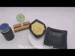 Bột phấn phấn của cây thông