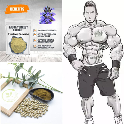 500mg chiết xuất thực vật tự nhiên Turkestanica