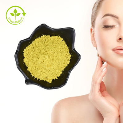 Bột chiết xuất thực vật vỏ trái cây Bayberry Myricetin 98%