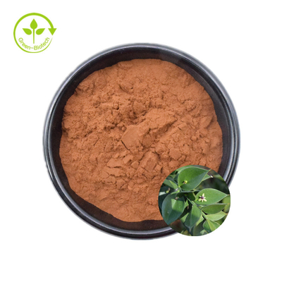 Chiết xuất cây chổi thực vật tự nhiên 10% 20% Ruscogenins để chăm sóc sức khỏe