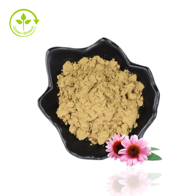 Chiết xuất thực vật Echinacea Purpurea 2% bột axit rau diếp xoăn