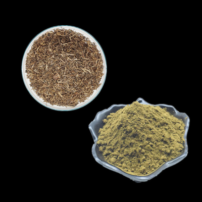 Chiết xuất Ajuga Turkestanica Bột chiết xuất thảo dược Bột bổ sung Turkesterone 2% 10% 20%