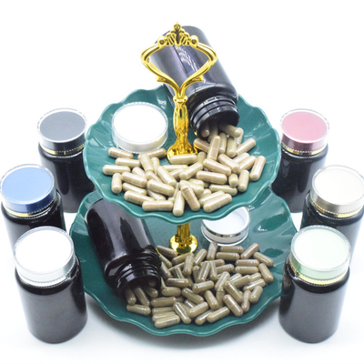 OEM Ajuga Turkestanica Chiết xuất viên nang Turkesterone Nhãn hiệu riêng