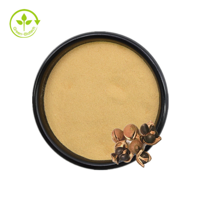 Chiết xuất hạt Camellia Sinensis Bột trà Saponin 50% 60% 70% 80% 85% 90% 95% 98%