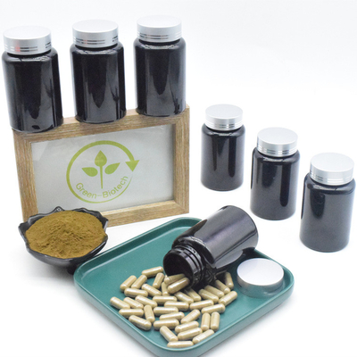 Ajuga Turkestanica Extract 500mg Viên nang Turkesterone 10% để bổ sung cơ bắp