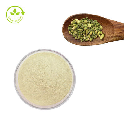 Nhà máy cung cấp chiết xuất sophora japonica Rutin 95% Sophora Japonica Extract Rutin Powder