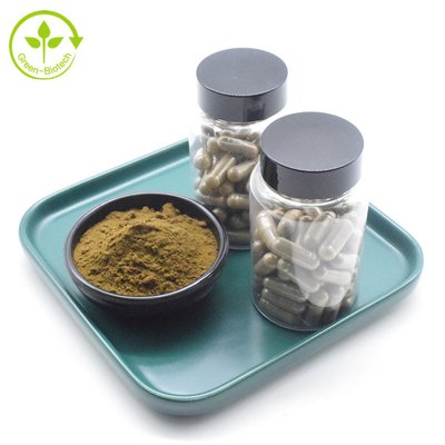 Nhãn hiệu riêng Bột chiết xuất tự nhiên Ajuga Turkestanica Viên nang Turkesterone 500mg nguyên chất