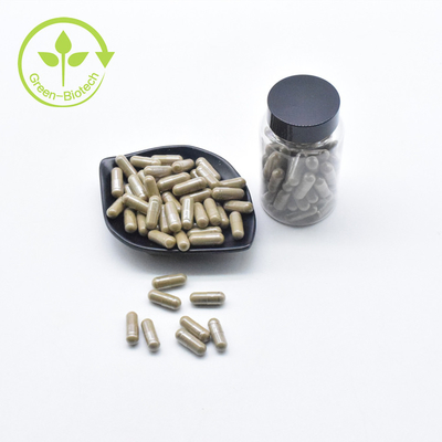 Turkesterone Capsule Viên nang chiết xuất Ajuga Turkestanica tự nhiên để bổ sung