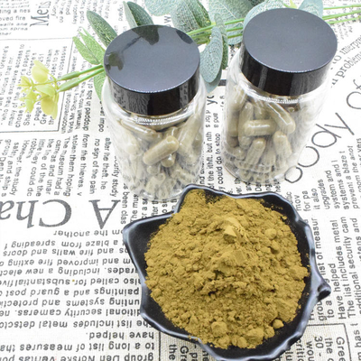 Bột chiết xuất Ajuga Turkestanica 2% Mua Turkesterone