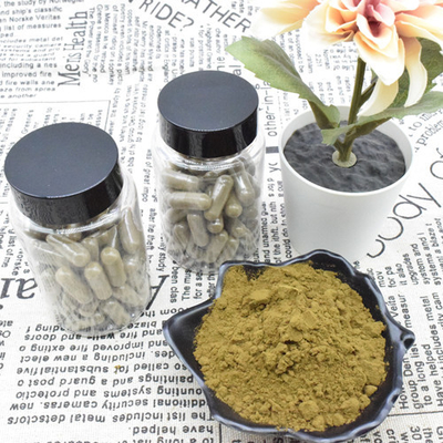 Bán buôn số lượng lớn 100% nguyên chất 2% 10% bột chiết xuất Ajuga Turkestanica Bột Turkesterone