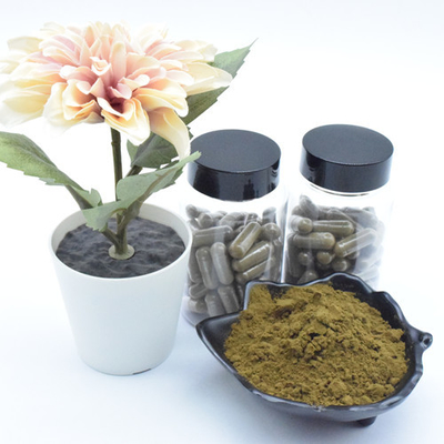 Bổ sung Pure Ajuga Turkestanica Extract Powder 40% Viên nang Turkesterone 500mg