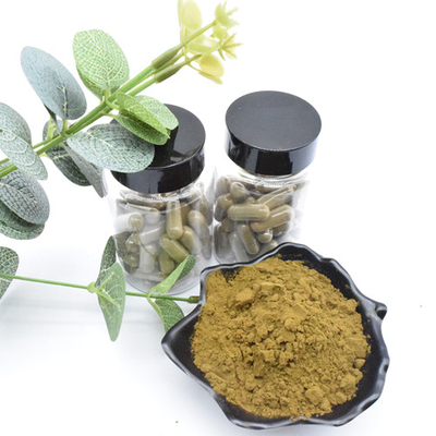 Chiết xuất thảo dược Chiết xuất Ajuga Turkestanica Bột Turkesterone