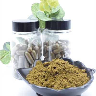 100% bột Turkesterone tự nhiên 2% 10% 40% chiết xuất Ajuga Turkestanica