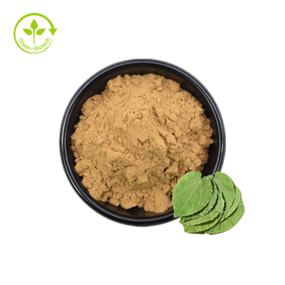 20% 30% Icaritin Chiết xuất Epimedium tự nhiên Icariin 98% Bột chiết xuất Epimedium