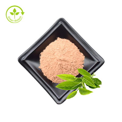 Bột chiết xuất trà xanh hữu cơ Bột trà xanh EGCG của nhà máy GMP