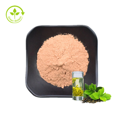 Lợi ích sức khỏe tốt nhất của Trung Quốc Bột chiết xuất trà xanh