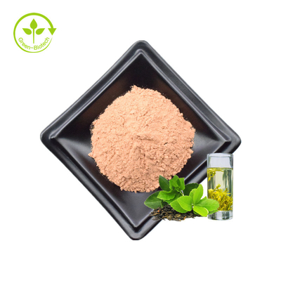 Tea Polyphenol Các nhà sản xuất cung cấp Bán chạy Chiết xuất trà xanh Bột Polyphenol 90% Tea Polyphenol
