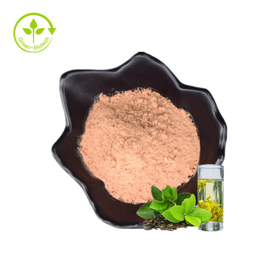 Cung cấp giá xuất xưởng Chiết xuất trà xanh 98% bột trà Polyphenol với số lượng lớn