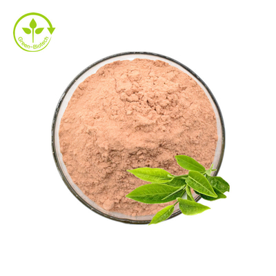 Chiết xuất trà xanh Polyphenol 50% 98% bột chiết xuất trà xanh