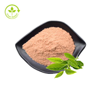 Nhãn hiệu riêng Hữu cơ tự nhiên Chiết xuất trà xanh nguyên chất Bột Matcha