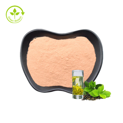 Chiết xuất trà xanh chất lượng cao 45% bột EGCG Chiết xuất trà xanh