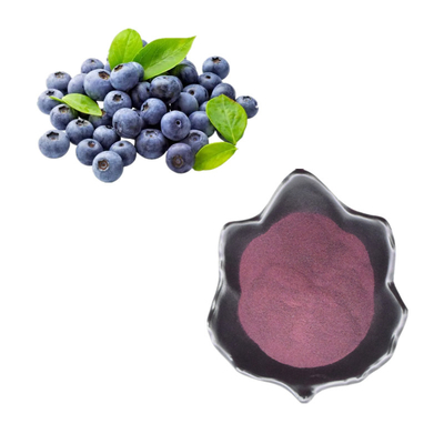Bột chiết xuất việt quất tự nhiên / Anthocyanin việt quất
