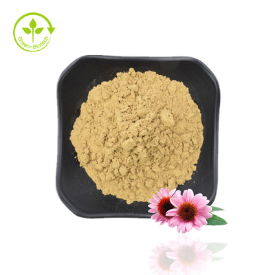 Polyphenol tự nhiên 4% Axit xichoric 1% 4% Chiết xuất Echinacea Purpurea