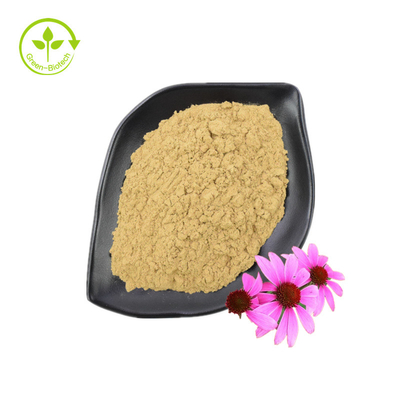 Cung cấp Chiết xuất Echinacea Purpurea loại tốt Bổ sung chăm sóc sức khỏe Chiết xuất Echinacea Purpurea