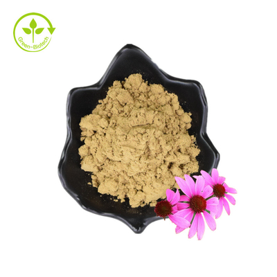 Hữu cơ Polyphenol bột khô Hạt giống hoa Chiết xuất Echinacea Purpurea