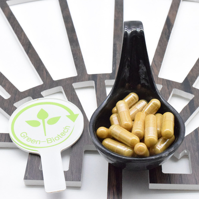 bán buôn 100% gốc Ginsing hữu cơ Panax Ginseng hàng loạt