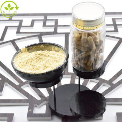 Chiết xuất Ginseng Mỹ tự nhiên 5% - 80% Ginsenosides By UV HPLC