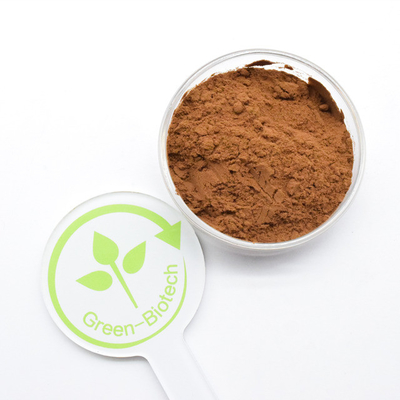 Cung cấp Natural Chrysanthemum Extract Chrysanthemum Extract Bột trà Chrysanthemum