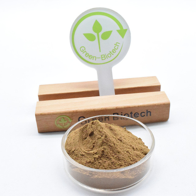 Phân phối bán buôn Dendrobium Extract Powder 10:1 Với chất lượng cao