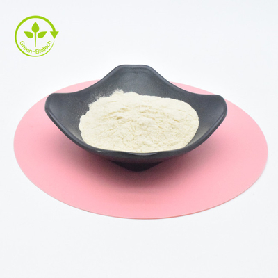 Nhà máy cung cấp thực vật chiết xuất bột chất lượng cao chiết xuất tỏi bột allicin 1%