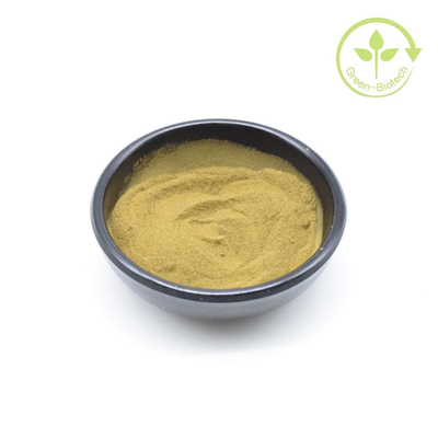Cung cấp thực vật tự nhiên Ashwagandha chiết xuất bột 5% Withanolides