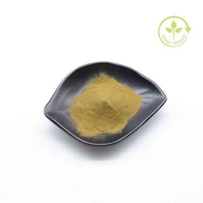 Giá thấp chiết xuất gốc Ashwagandha hữu cơ bột mịn cho kem Ashwagandha
