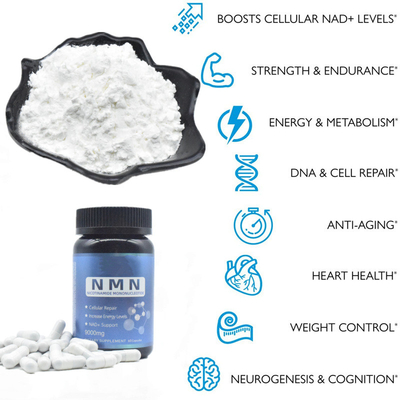 Cellular Repair White Fine Pure NMN Powder 25kg Chống lão hóa 99%