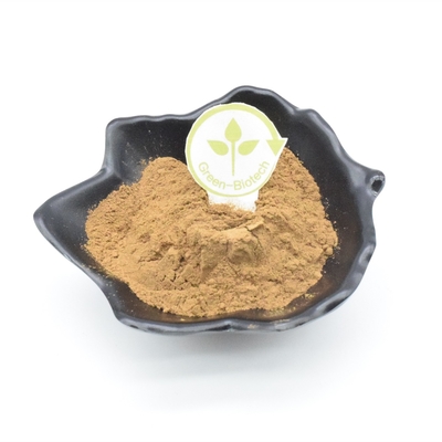 2% Ajuga Turkest Extract Bodybuilding
