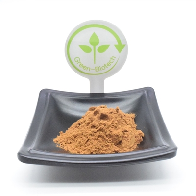 Màu vàng nâu không chiếu xạ Ajuga Turkestanica bổ sung 10% 20%