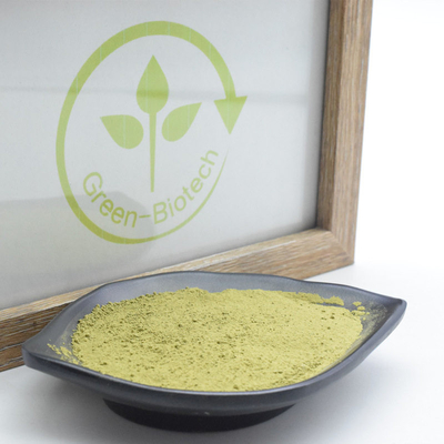 MSDS chiết xuất thực vật tự nhiên Bột trà Uji Matcha với hương vị Umami phong phú