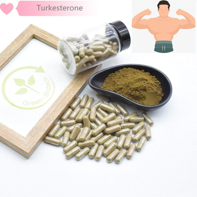 40% Ajuga Turkestanica Powder HPLC để xây dựng cơ bắp Chiết xuất từ ​​thực vật tự nhiên