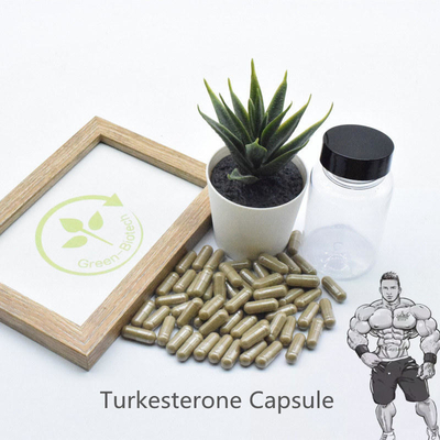 GMP Turkestanica chiết xuất thực vật tự nhiên