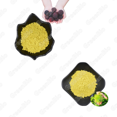 Bột chiết xuất thực vật vỏ trái cây Bayberry Myricetin 98%