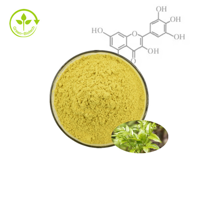 Bột chiết xuất thực vật vỏ trái cây Bayberry Myricetin 98%