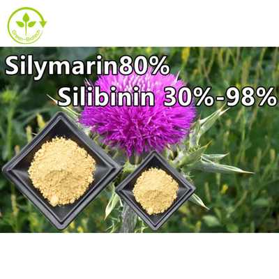 Bột chiết xuất thực vật cây kế sữa 80% Silymarin cấp thực phẩm