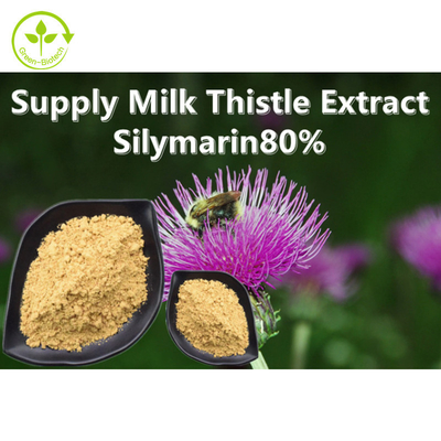 Bột chiết xuất thực vật cây kế sữa 80% Silymarin cấp thực phẩm