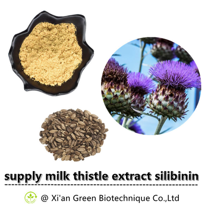 Bột chiết xuất thực vật cây kế sữa 80% Silymarin cấp thực phẩm
