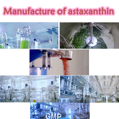 CAS 7542-45-2 1% - 10% bột Astaxanthin để chăm sóc sức khỏe