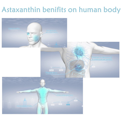 CAS 7542-45-2 1% - 10% bột Astaxanthin để chăm sóc sức khỏe