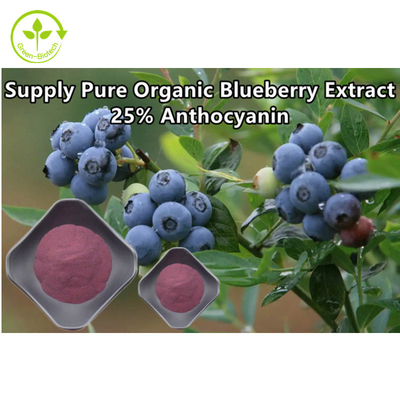 Bột chiết xuất quả việt quất hữu cơ nguyên chất Anthocyanin 25%